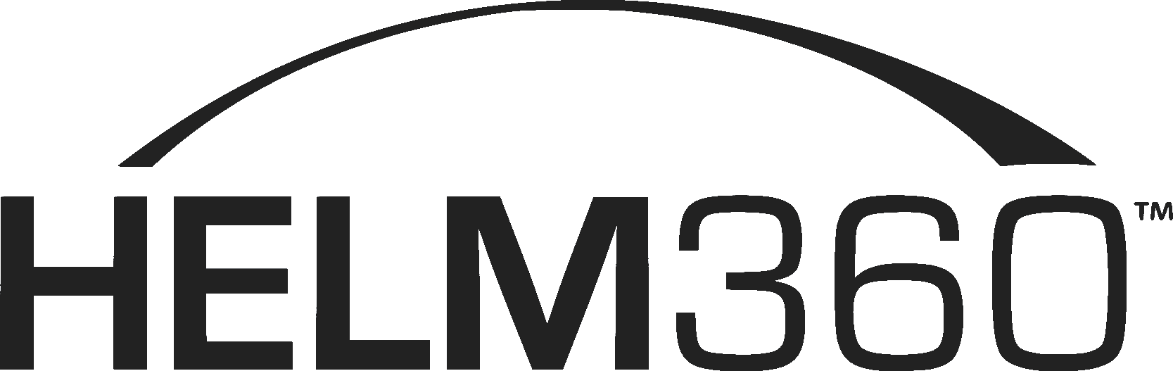 Company Logo 21