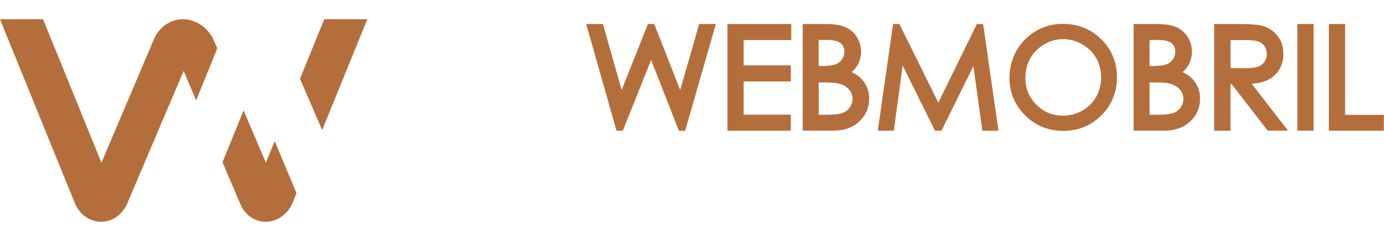 Company Logo 76