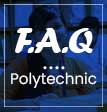 What is ranking of the Polytechnic Institute?